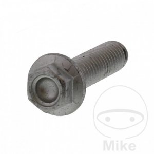 Brake disc bolt JMT