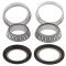 Steering bearing and seal kit All Balls Racing