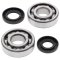 Crankshaft bearing and seal kit All Balls Racing