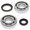 Crankshaft bearing and seal kit All Balls Racing