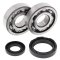 Crankshaft bearing and seal kit All Balls Racing