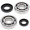 Crankshaft bearing and seal kit All Balls Racing