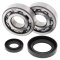 Crankshaft bearing and seal kit All Balls Racing