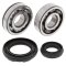 Crankshaft bearing and seal kit All Balls Racing