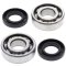 Crankshaft bearing and seal kit All Balls Racing