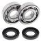 Crankshaft bearing and seal kit All Balls Racing