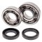 Crankshaft bearing and seal kit All Balls Racing