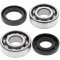 Crankshaft bearing and seal kit All Balls Racing