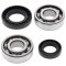 Crankshaft bearing and seal kit All Balls Racing