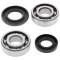 Crankshaft bearing and seal kit All Balls Racing