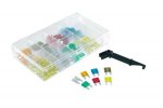 Mini fuses kit RMS 246151040 (100 pieces)