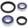 Wheel bearing and seal kit All Balls Racing WB25-1061