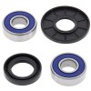 Wheel bearing and seal kit All Balls Racing WB25-1073