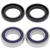 Wheel bearing and seal kit All Balls Racing WB25-1090