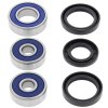 Wheel bearing and seal kit All Balls Racing WB25-1095