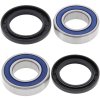 Wheel bearing and seal kit All Balls Racing WB25-1102