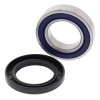 Wheel bearing and seal kit All Balls Racing WB25-1118