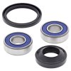 Wheel bearing and seal kit All Balls Racing WB25-1120