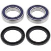 Wheel bearing and seal kit All Balls Racing WB25-1132