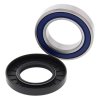 Wheel bearing and seal kit All Balls Racing WB25-1149