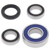 Wheel bearing and seal kit All Balls Racing WB25-1162