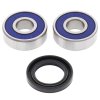 Wheel bearing and seal kit All Balls Racing WB25-1170