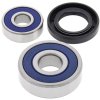 Wheel bearing and seal kit All Balls Racing WB25-1175