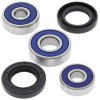 Wheel bearing and seal kit All Balls Racing WB25-1176