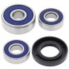 Wheel bearing and seal kit All Balls Racing WB25-1185