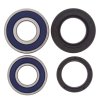 Wheel bearing and seal kit All Balls Racing WB25-1204