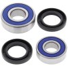 Wheel bearing and seal kit All Balls Racing WB25-1217