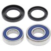 Wheel bearing and seal kit All Balls Racing WB25-1252