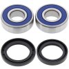 Wheel bearing and seal kit All Balls Racing WB25-1254