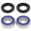 Wheel bearing and seal kit All Balls Racing WB25-1263