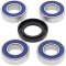 Wheel bearing and seal kit All Balls Racing