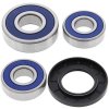 Wheel bearing and seal kit All Balls Racing WB25-1272