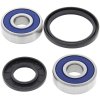 Wheel bearing and seal kit All Balls Racing WB25-1316