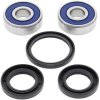 Wheel bearing and seal kit All Balls Racing WB25-1319