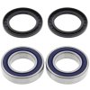 Wheel bearing and seal kit All Balls Racing WB25-1321