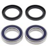 Wheel bearing and seal kit All Balls Racing WB25-1329