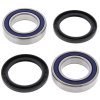 Wheel bearing and seal kit All Balls Racing WB25-1331