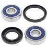 Wheel bearing and seal kit All Balls Racing WB25-1334