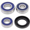 Wheel bearing and seal kit All Balls Racing WB25-1336