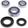 Wheel bearing and seal kit All Balls Racing WB25-1344