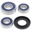 Wheel bearing and seal kit All Balls Racing WB25-1349