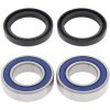 Wheel bearing and seal kit All Balls Racing WB25-1351