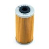 Oil filter MIW B9006 (alt. HF611)