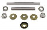 Rear Independent Suspension Kit All Balls Racing RIS50-1170-K