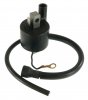 Ignition coil ARROWHEAD IYA0001