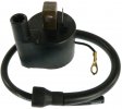 Ignition coil ARROWHEAD IYA0004